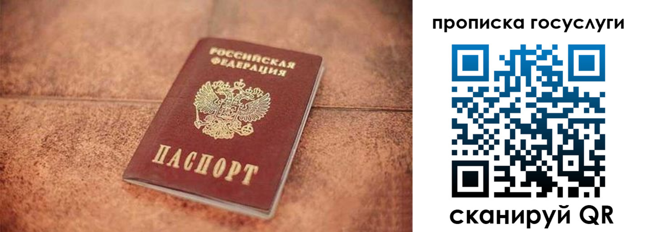прописка законно в Электрогорске